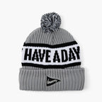 Have A Day Knit Beanie Grey