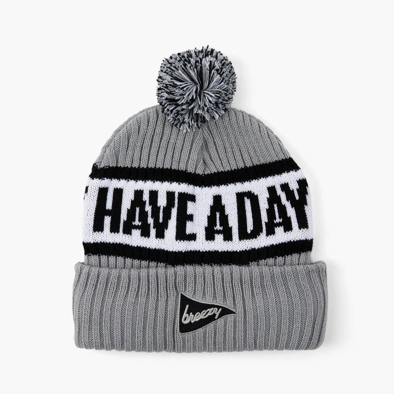 Have A Day Knit Beanie Grey